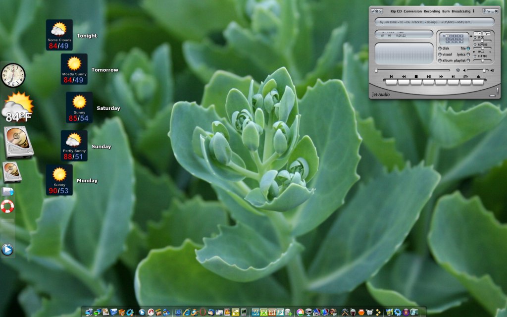 XP Pro - Vista EI-PC Succulent Desktop 1024x640