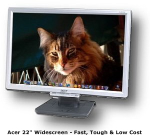Acer 20inch Widescreen Display - Best Price to Performance to Warranty ratio